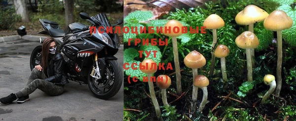spice Абдулино