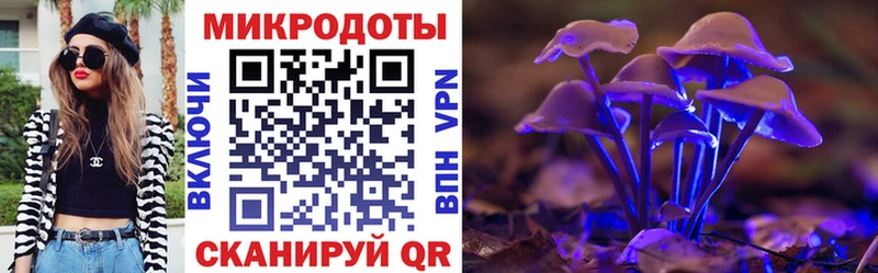 Псилоцибиновые грибы MAGIC MUSHROOMS MEGA зеркало Кандалакша