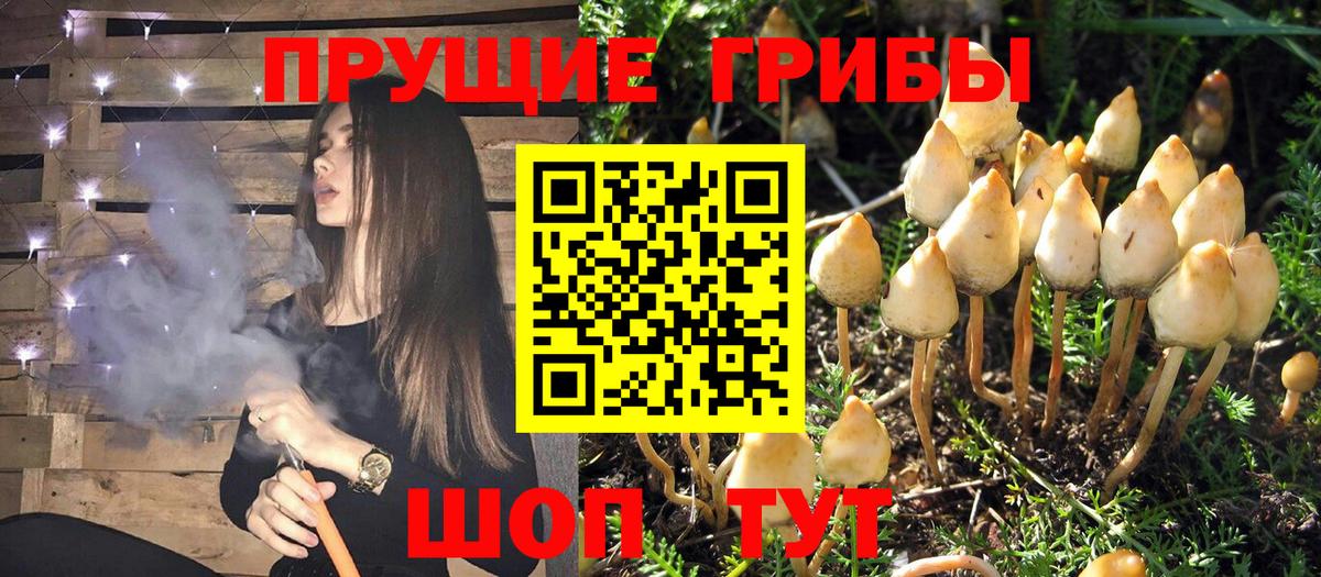 Псилоцибиновые грибы Magic Shrooms  Вход с VPN  Галлюциногенные грибы мицелий  Кандалакша 